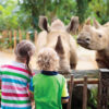 teach your child about endangered animals