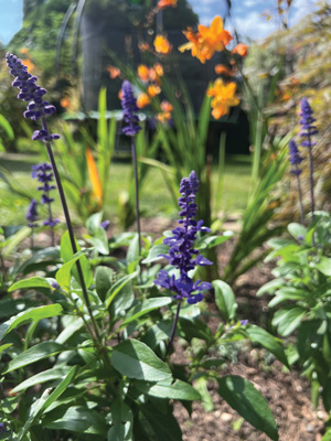 gardening for children