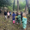 children in forestschool