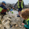 children-on-beach-foraging